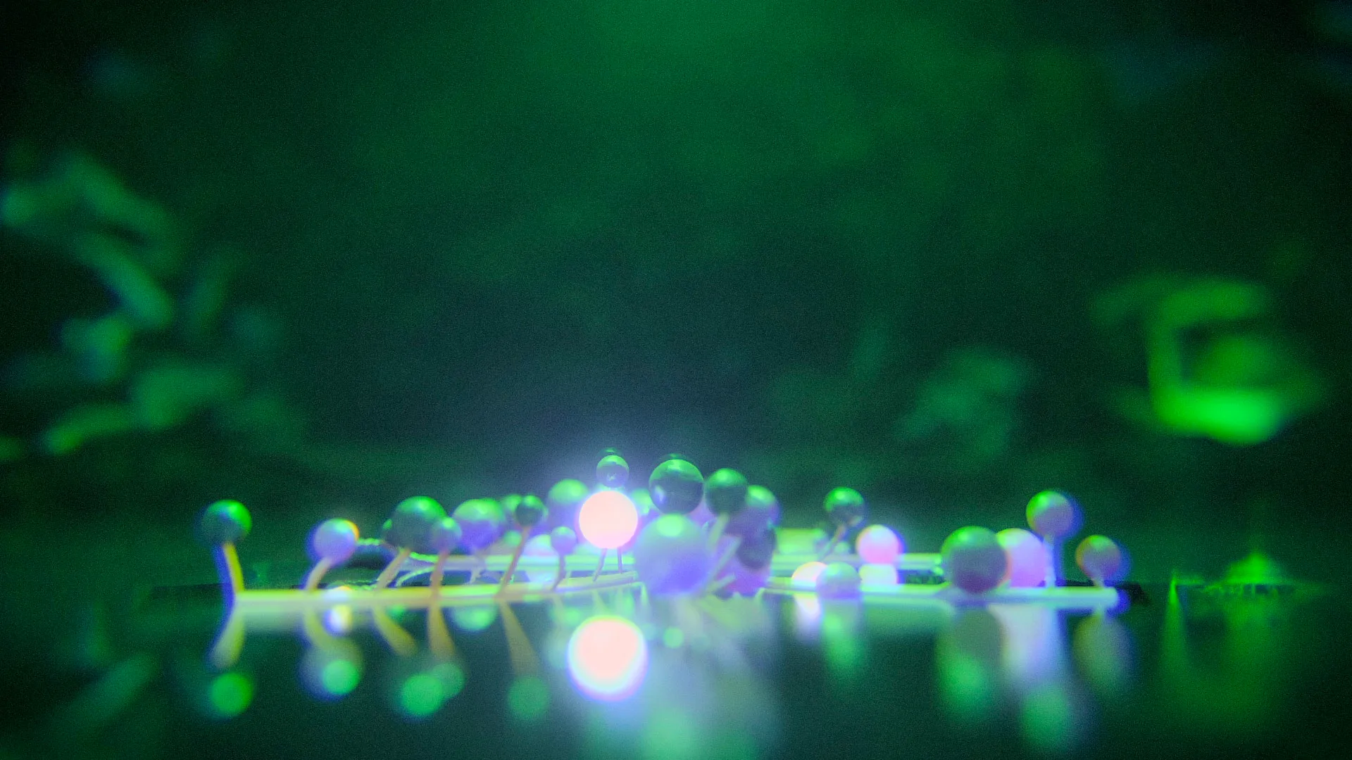 Memini Hikaris, 3D