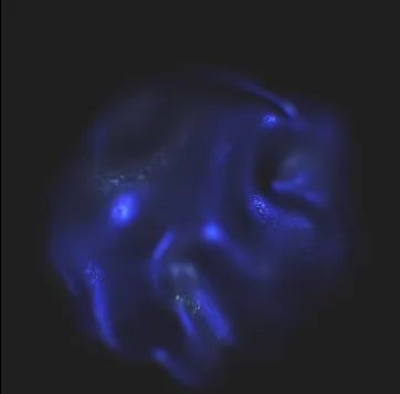neoyuMeditations; production still 8 of 10