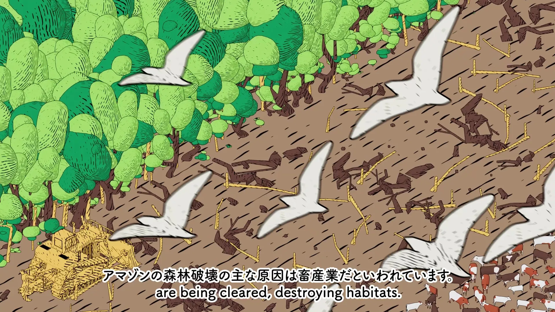 What is Vegan Food all about? ヴィーガン料理とは？; production still 4 of 12