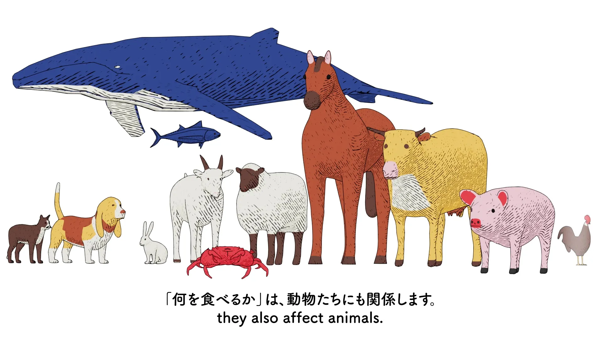 What is Vegan Food all about? ヴィーガン料理とは？; production still 6 of 12