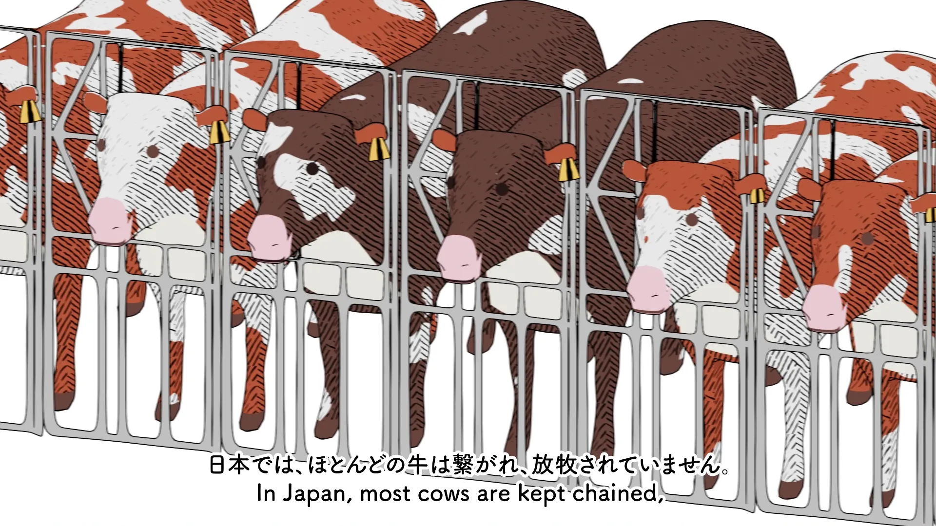 What is Vegan Food all about? ヴィーガン料理とは？; production still 8 of 12