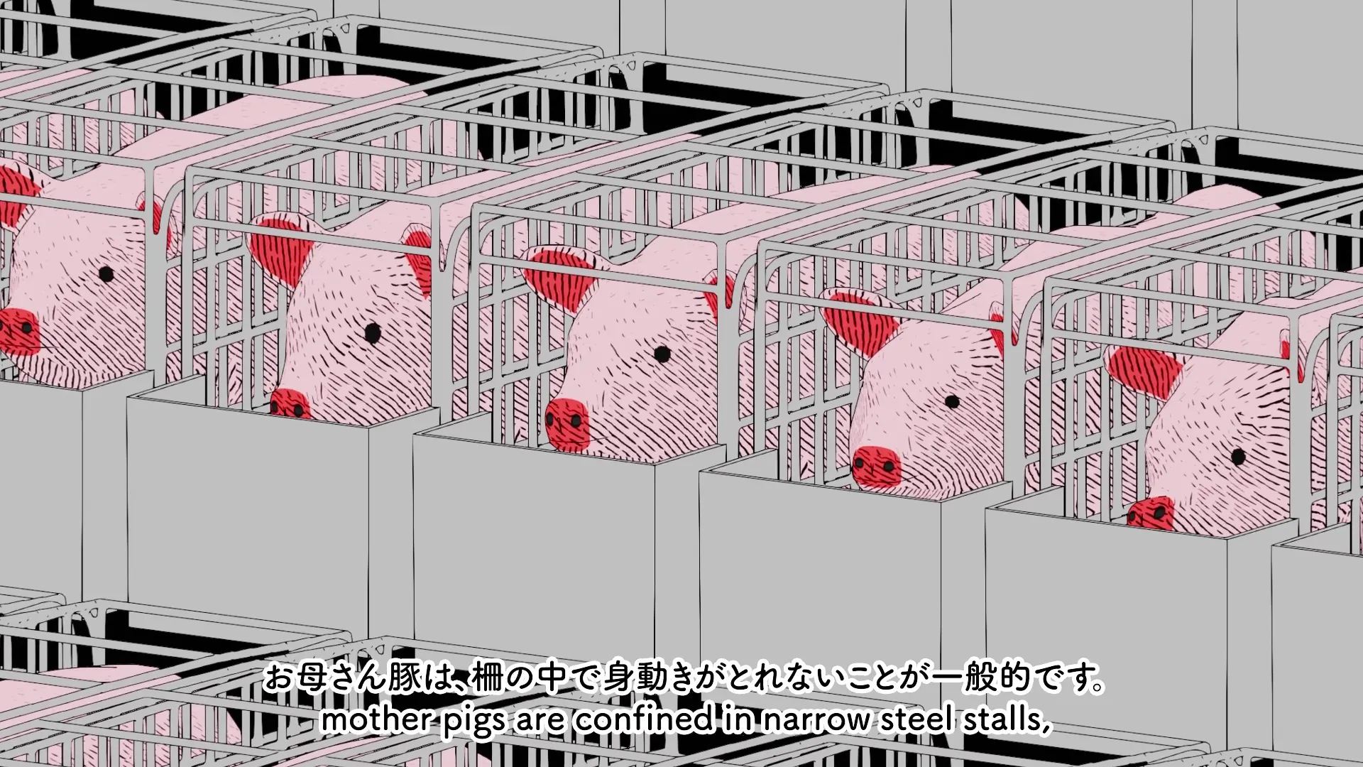 What is Vegan Food all about? ヴィーガン料理とは？; production still 7 of 12