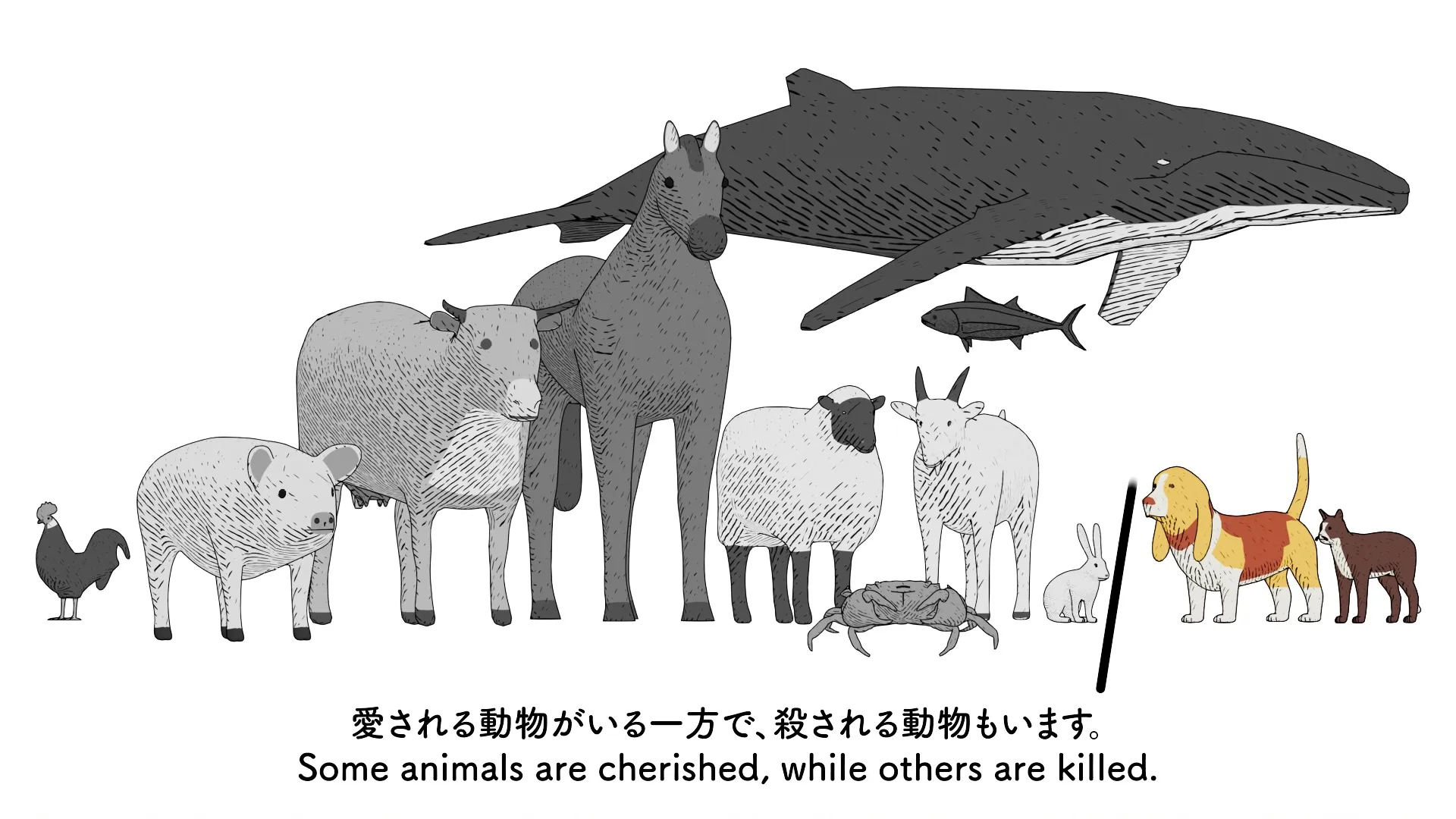What is Vegan Food all about? ヴィーガン料理とは？; production still 12 of 12