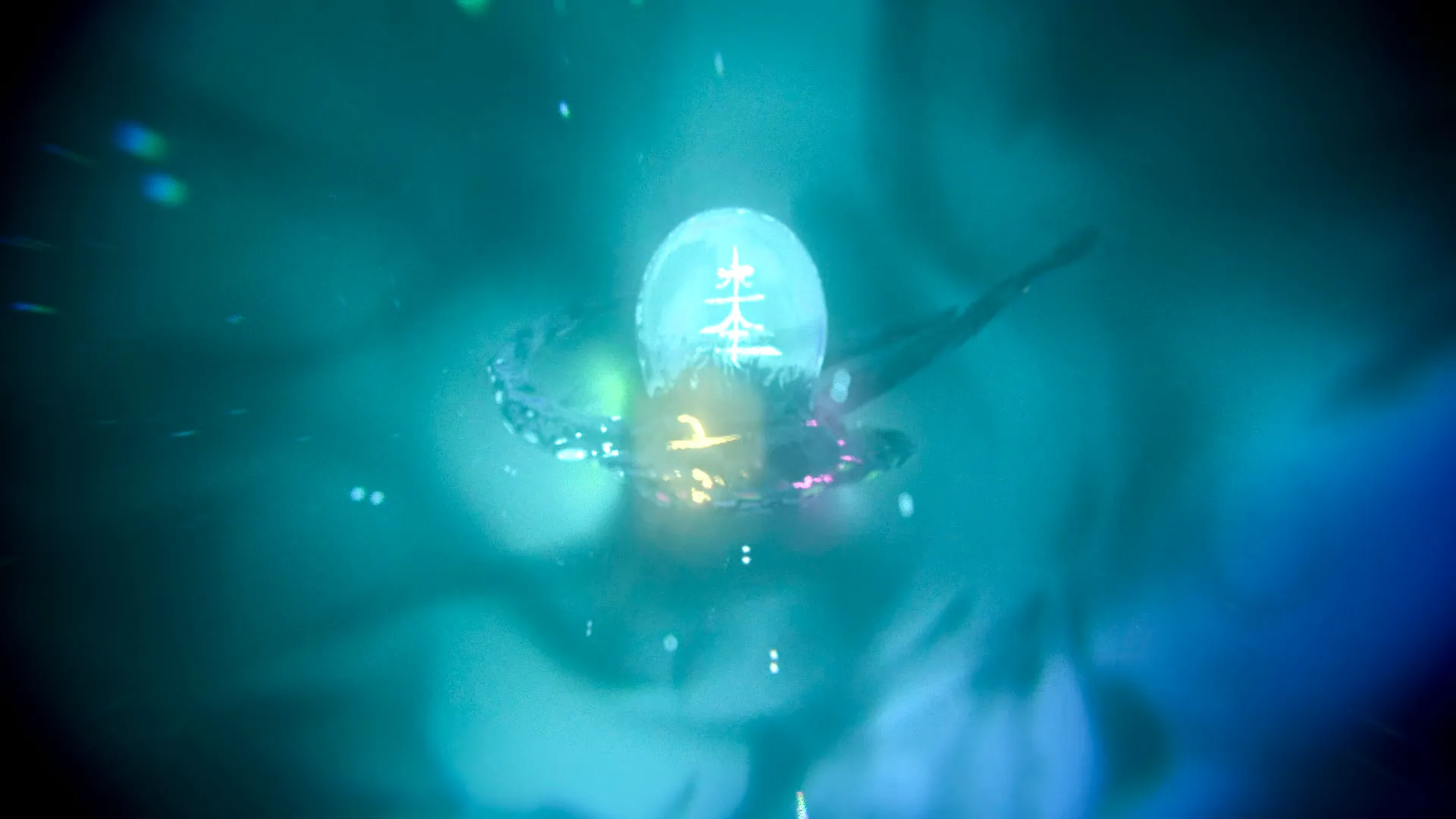 Octopus Hikari, 3D