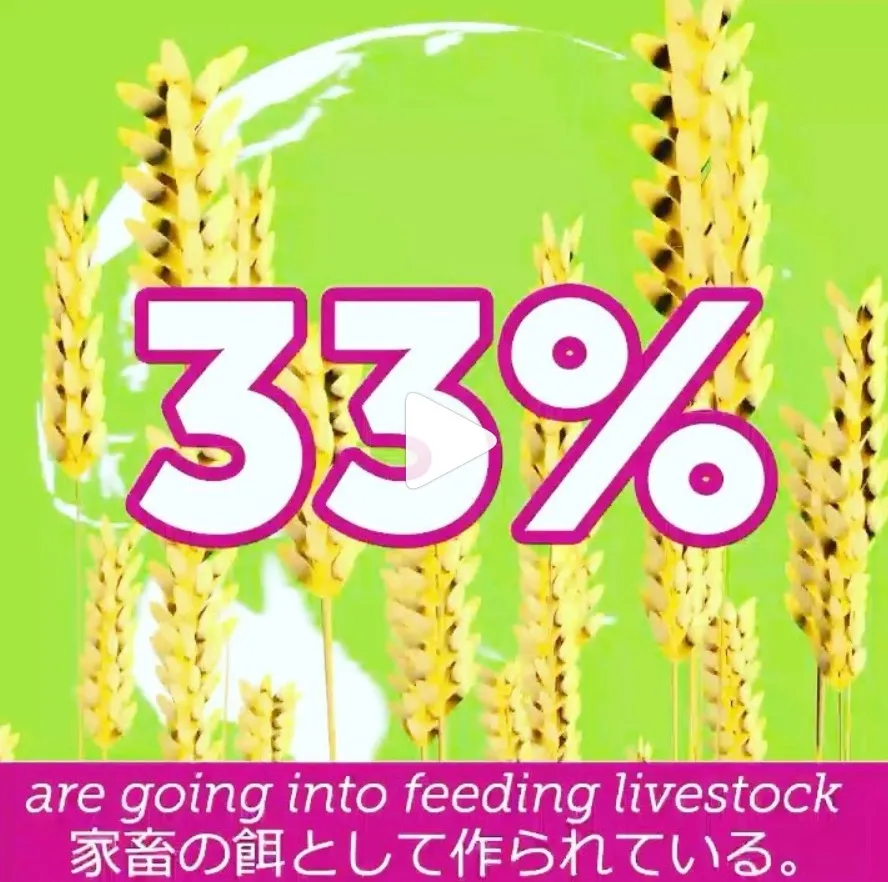 VegeProject Japan