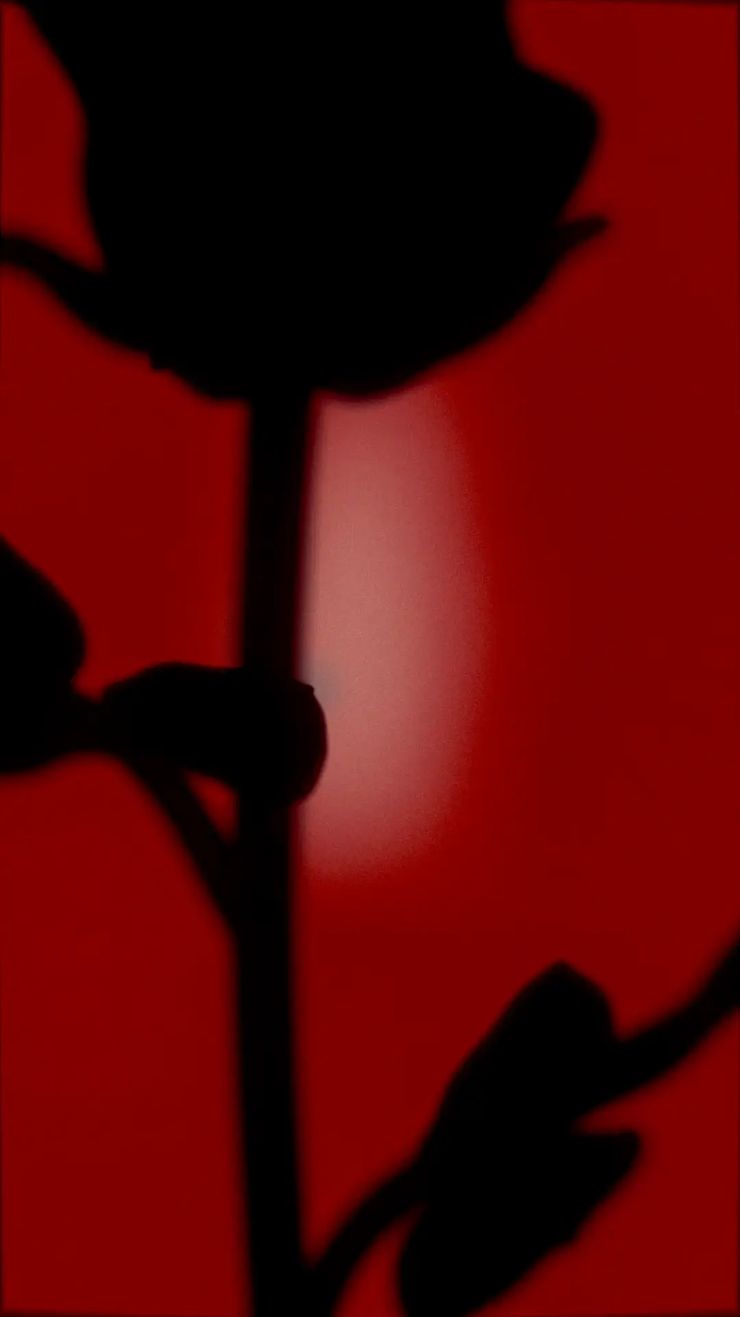 Let Me Disappear (Inside) — still 2