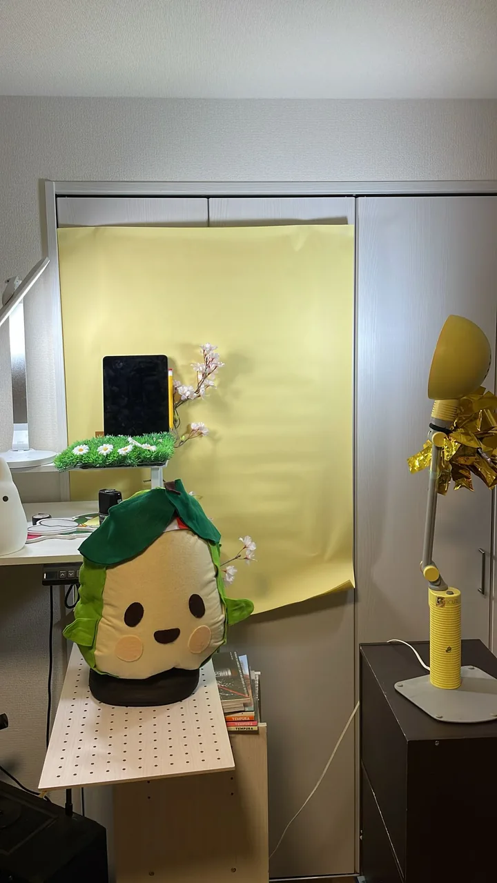 The plush in the little home video studio