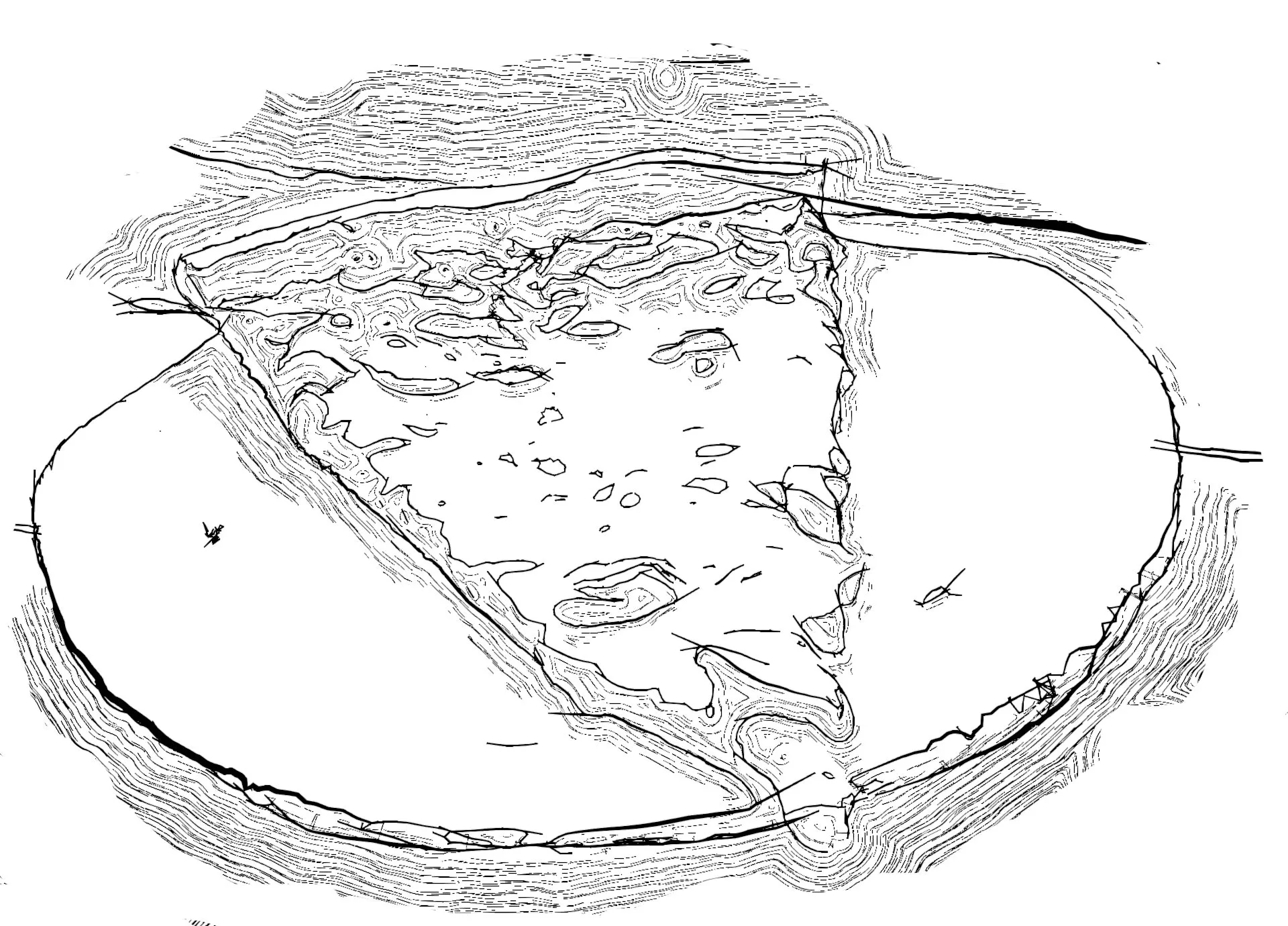 A line-art illustration of a pizza