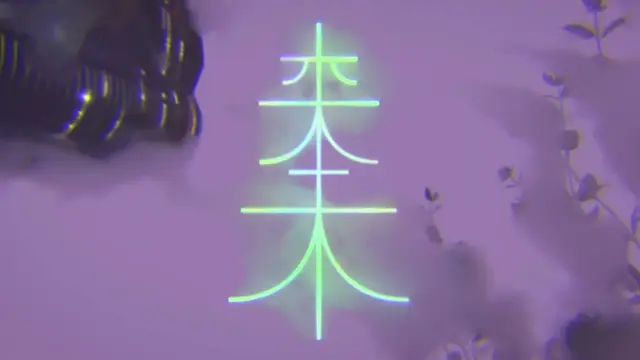 Memini Hikaris, video still