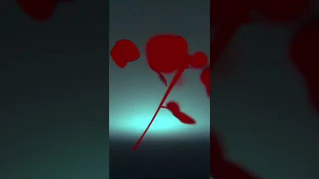 N U I T, Old Friend, Spotify Canvas loop