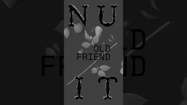 N U I T, Old Friend, elevator short