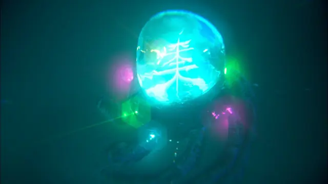 Octopus Hikari, video still